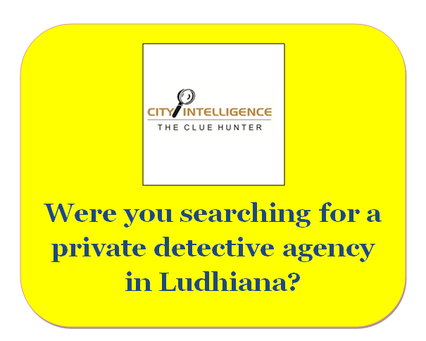 Top private detective agency in Ludhiana