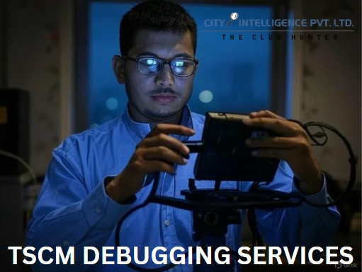 TSCM Debugging Services in Delhi