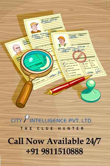 nanny background check investigation services