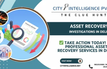 Asset Recovery Investigations in Delhi